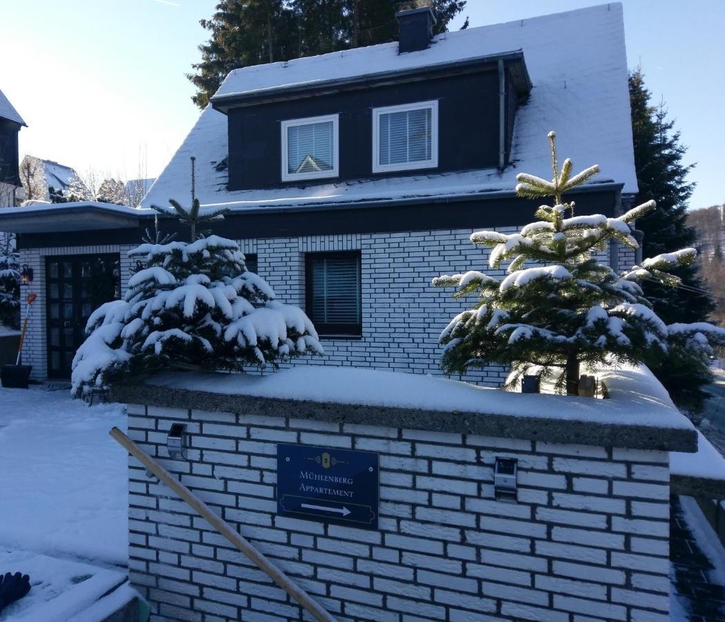 Apartment Muehlenberg Winterberg Eksteriør bilde